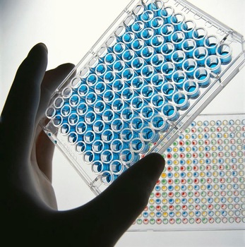 ELISA-plate-96-well-disposable-ELISA-plate.jpg_350x350